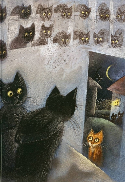 小猫玫瑰 (09),绘本,绘本故事,绘本阅读,故事书,童书,图画书,课外阅读